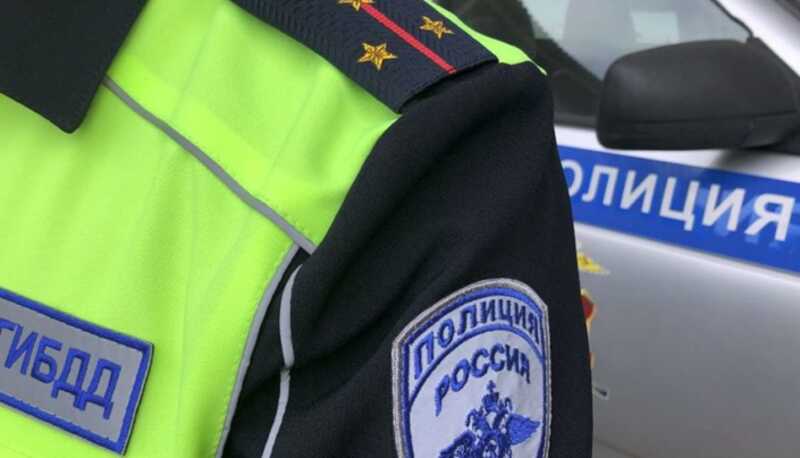 Сотрудники ГИБДД в Башкирии организовали погоню за волком